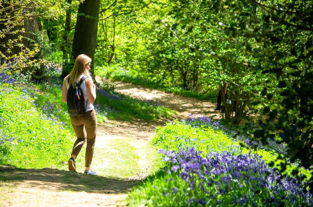 Best Walks in Kent (1)