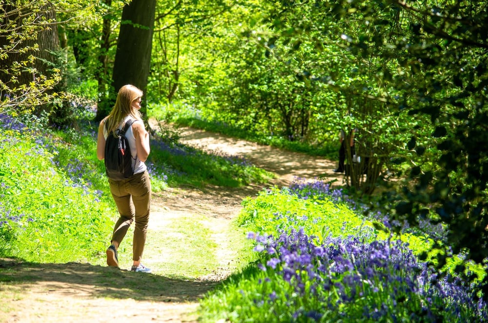 Best Walks in Kent (2)