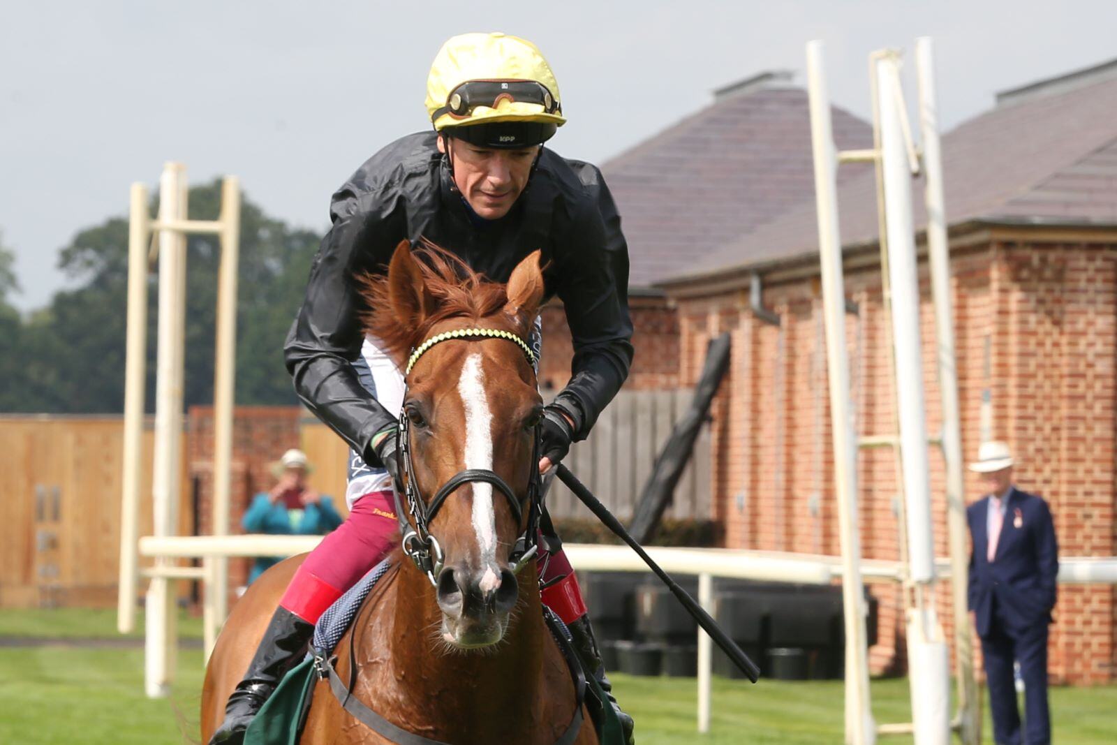 FRANKIE DETTORI