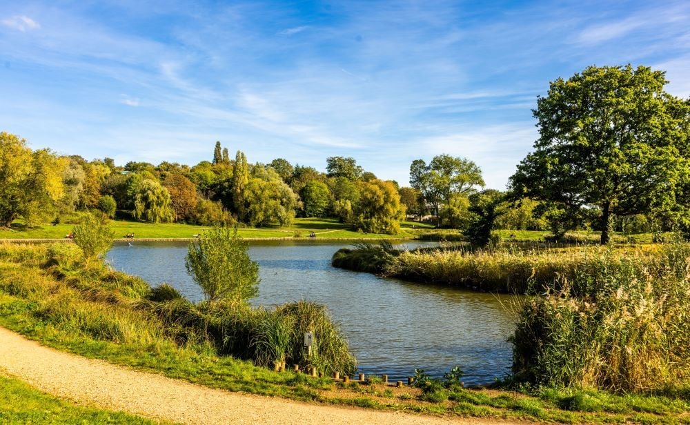 Hampstead Heath