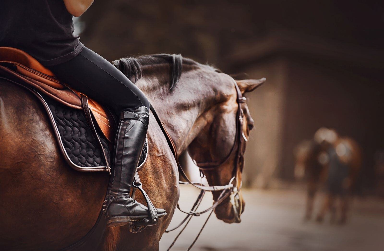 Horse Riding in London’s Richmond Park