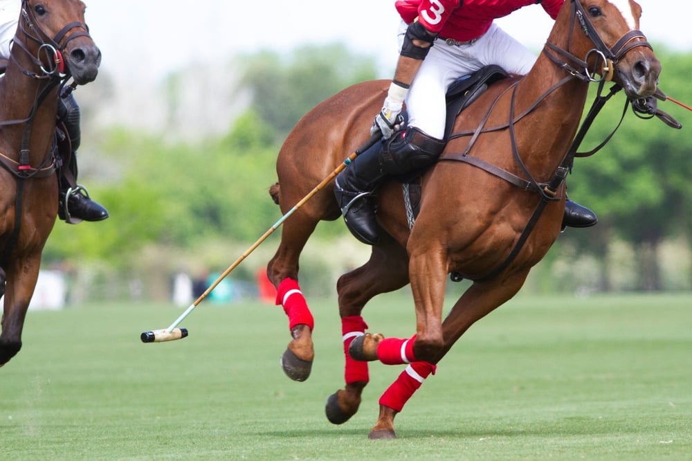 Cartier Queen’s Cup 2025 Final