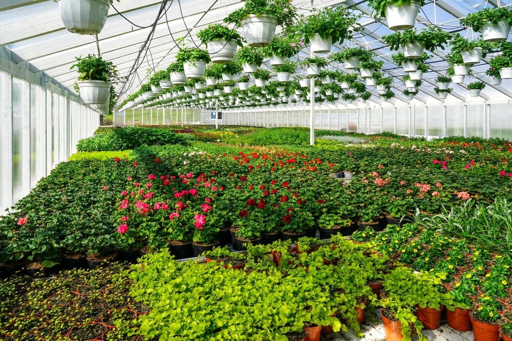 Inside the World’s Most Luxurious Greenhouses