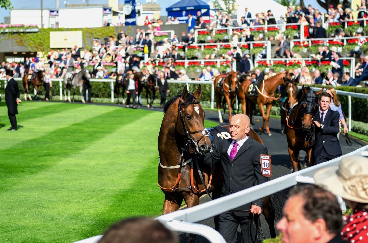Royal Ascot