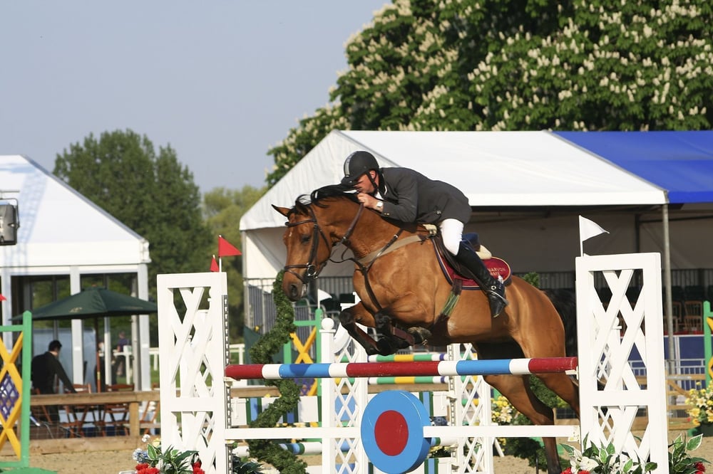 Royal Windsor Horse Show