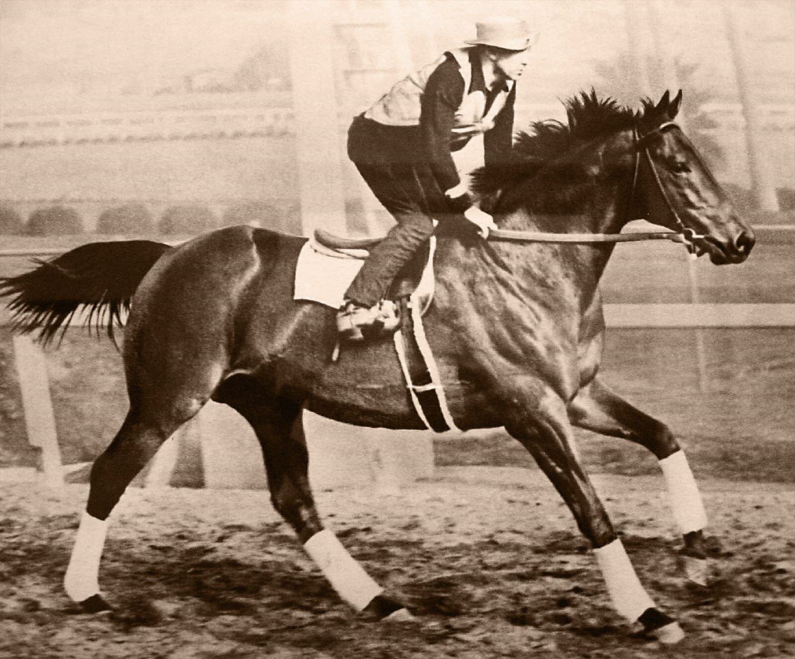 SEABISCUIT