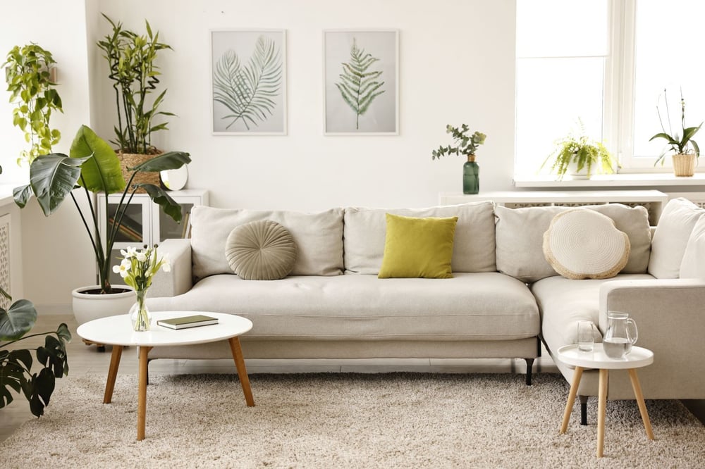Why Your Luxury Home Needs the Harmony of Feng Shui