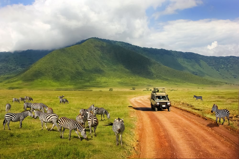 best safari in the world-1