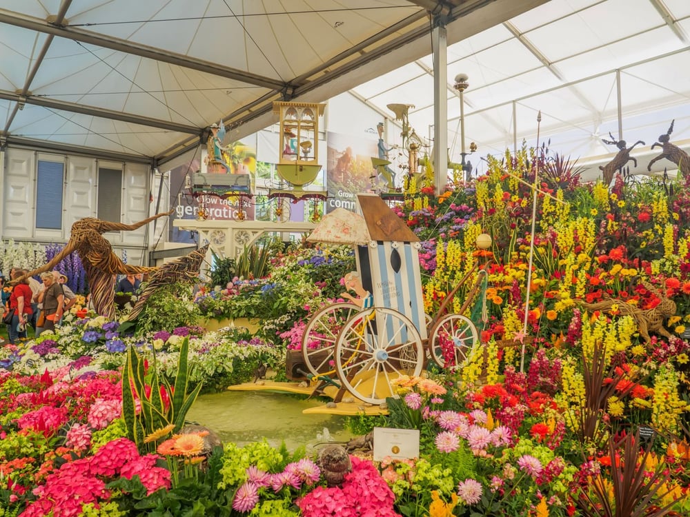 chelsea flower show