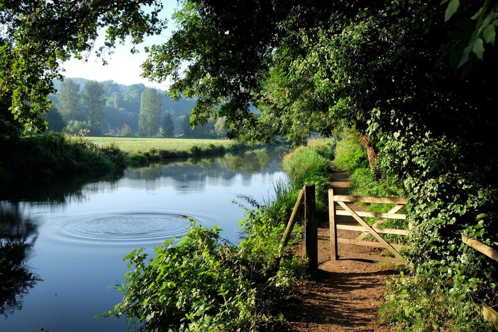 days out in surrey