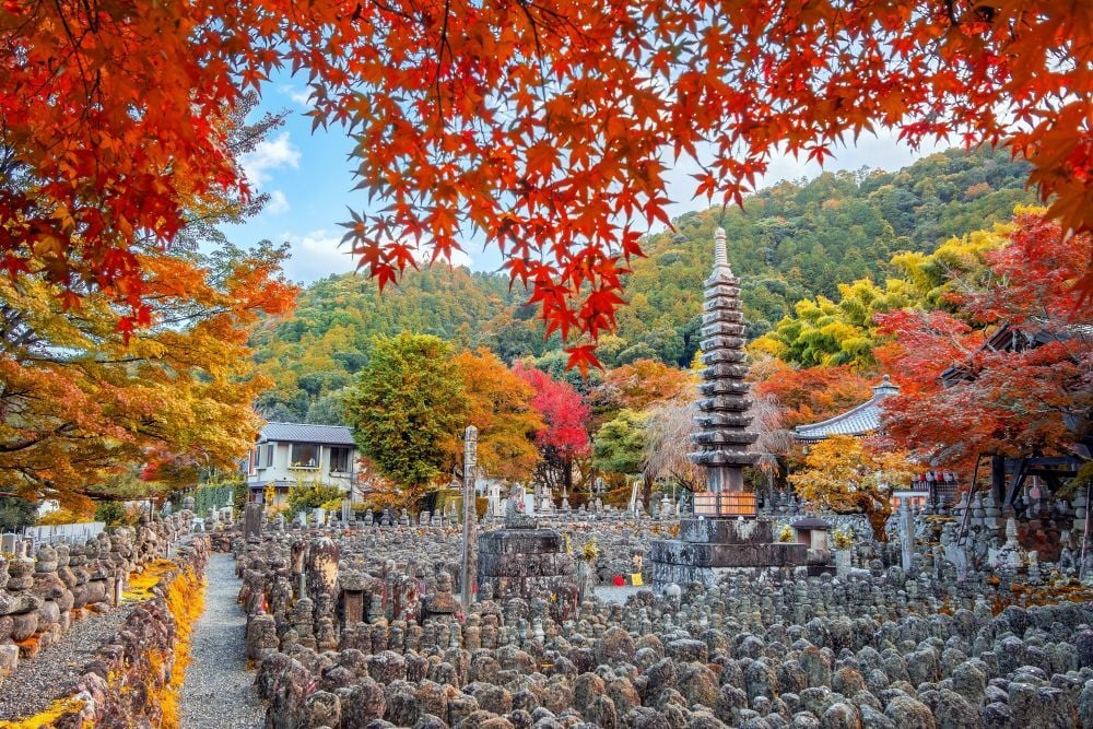 shutterstock_2654091863