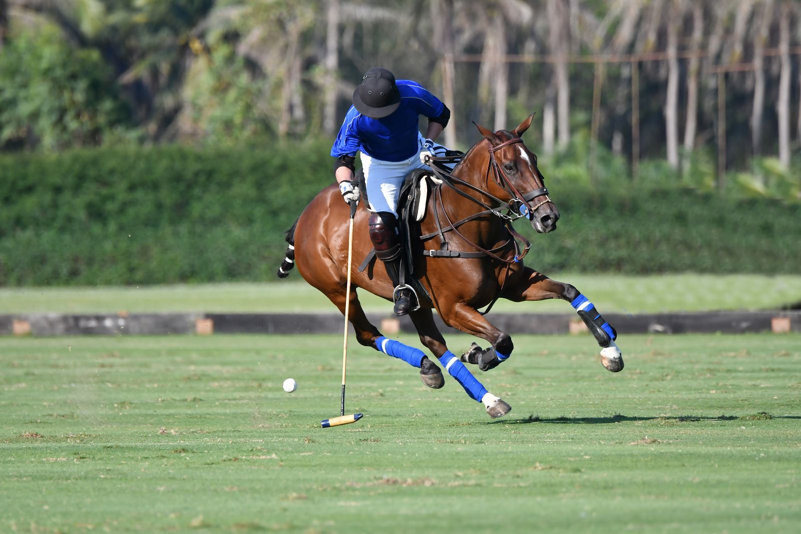 Top Equestrian and Polo Clubs Near South West London