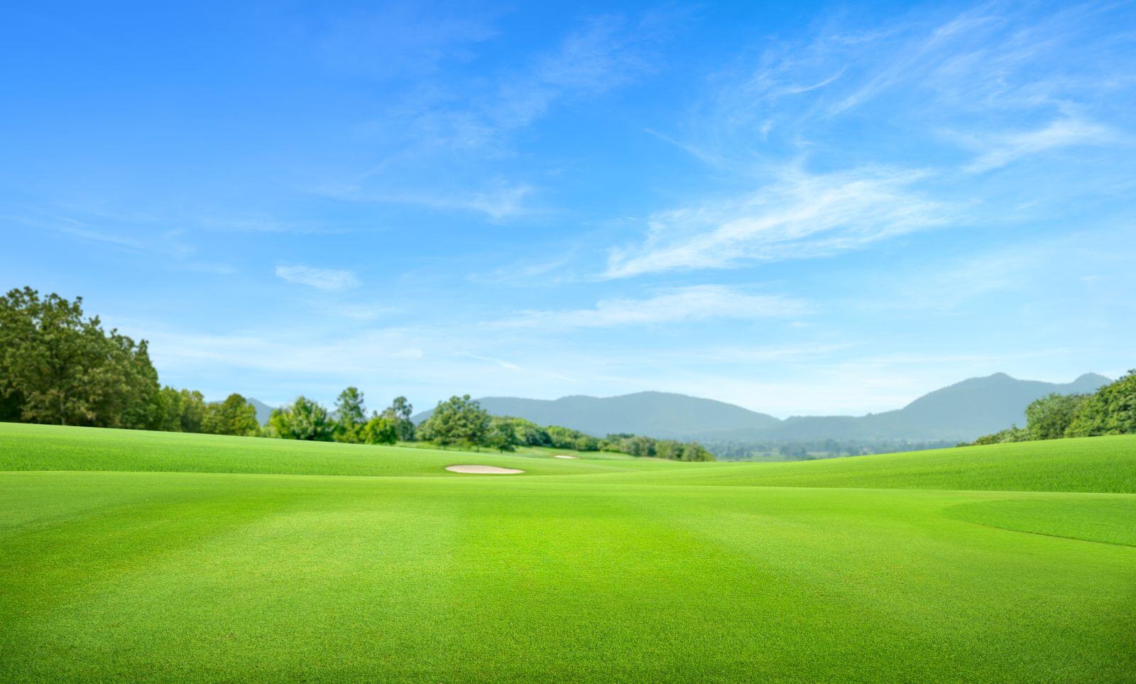 Exploring Richmond Park Golf Club