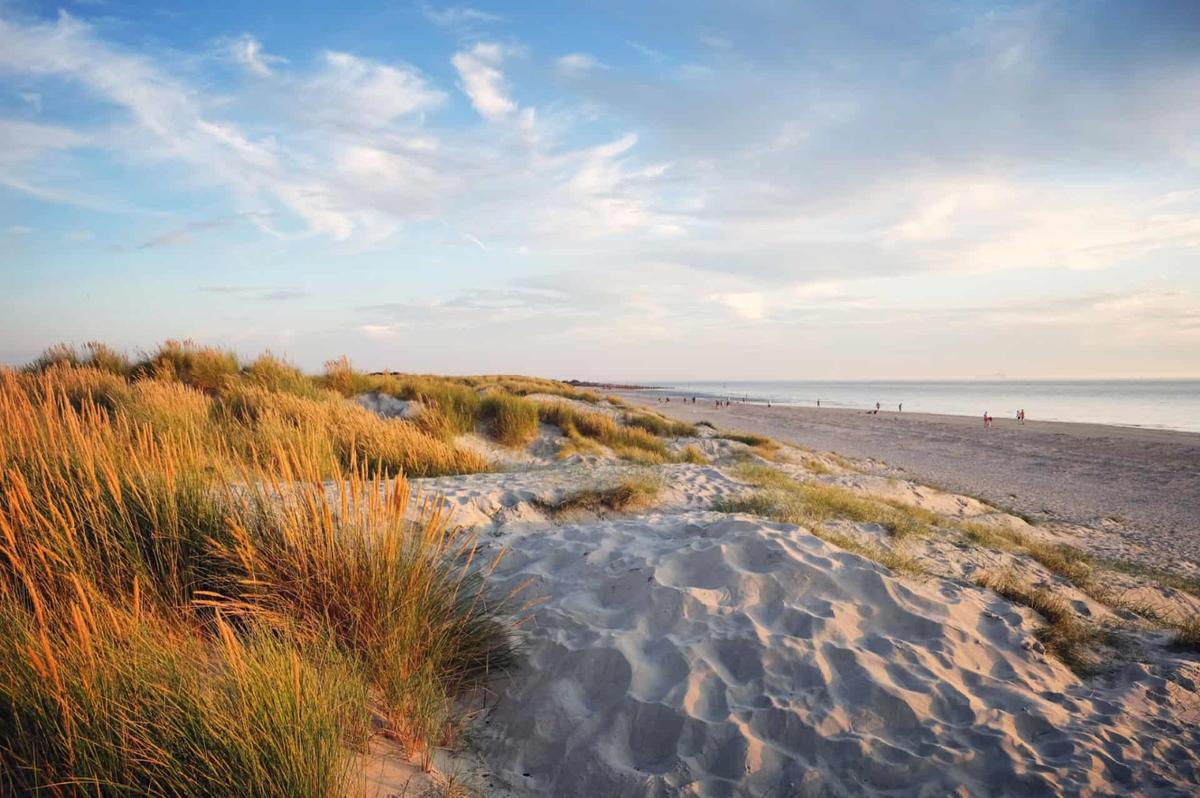 Things to Do In and Around West Wittering