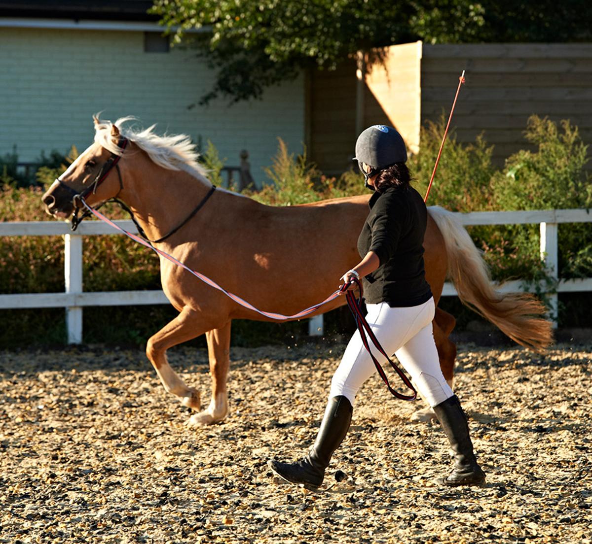 The Best Places To Go Horse Riding in London