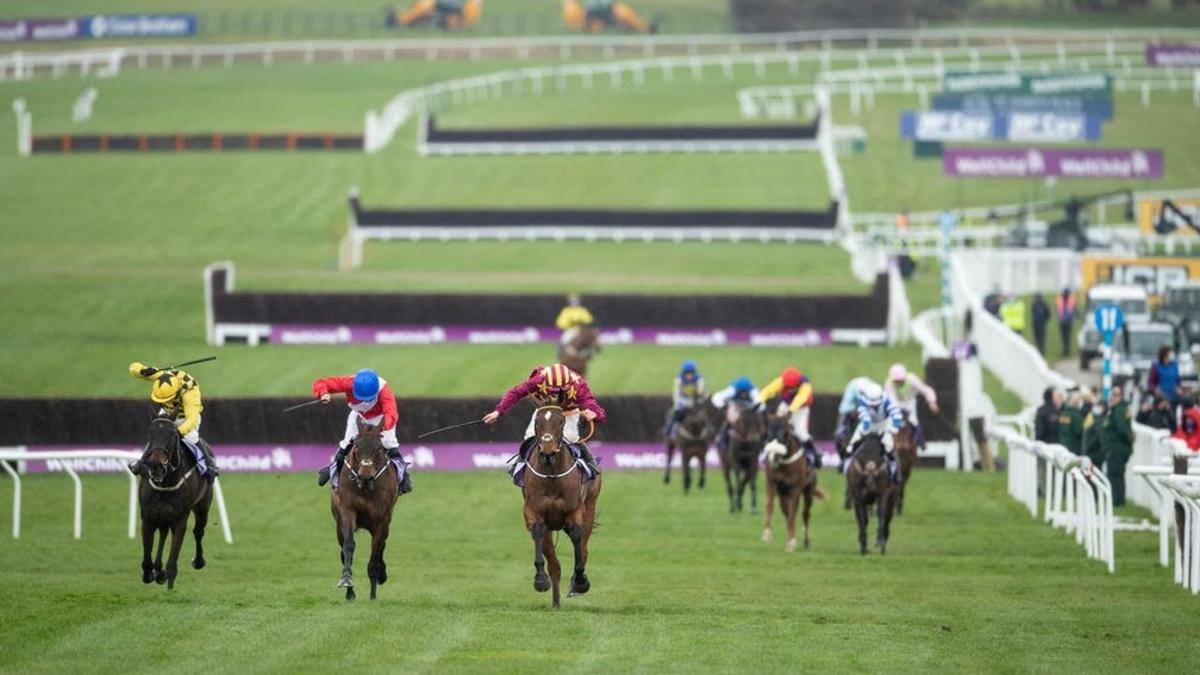 The Insider's Guide to Cheltenham Gold Cup 2024