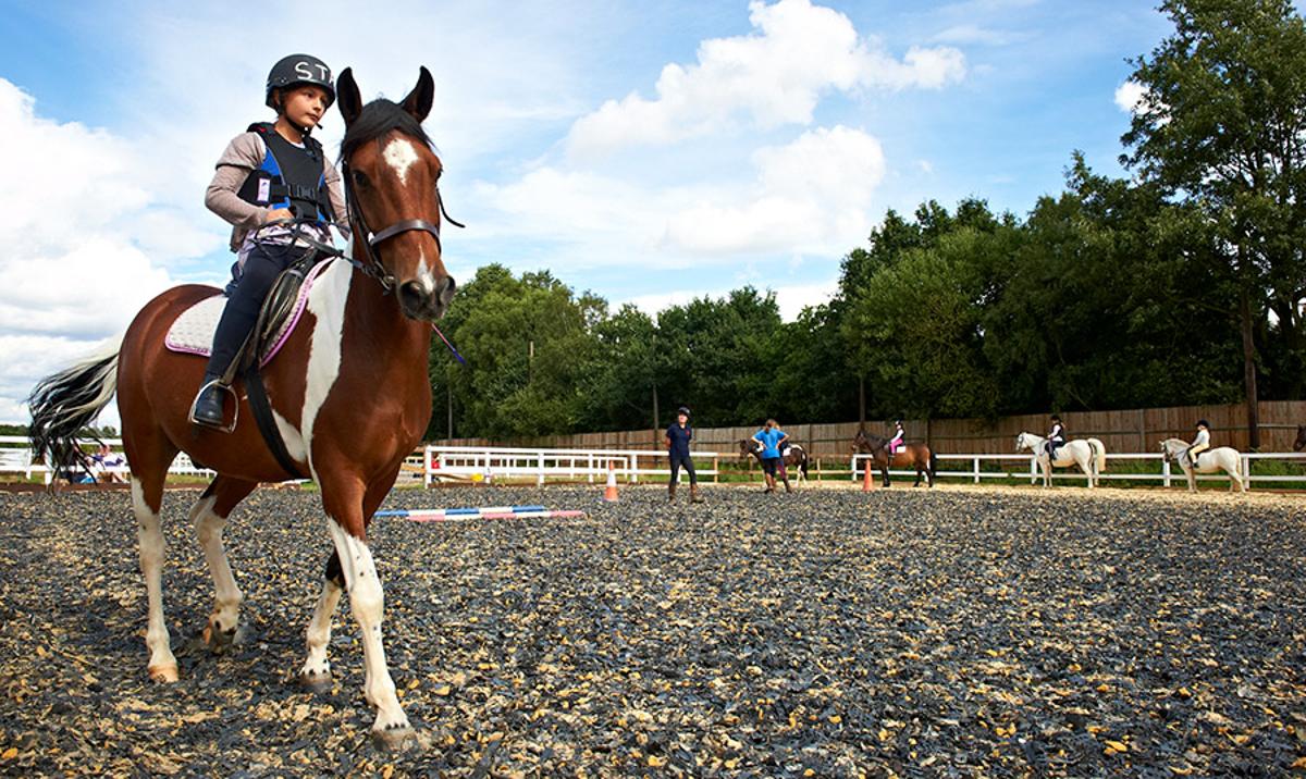 DSC0360-2.jpg horse riding london