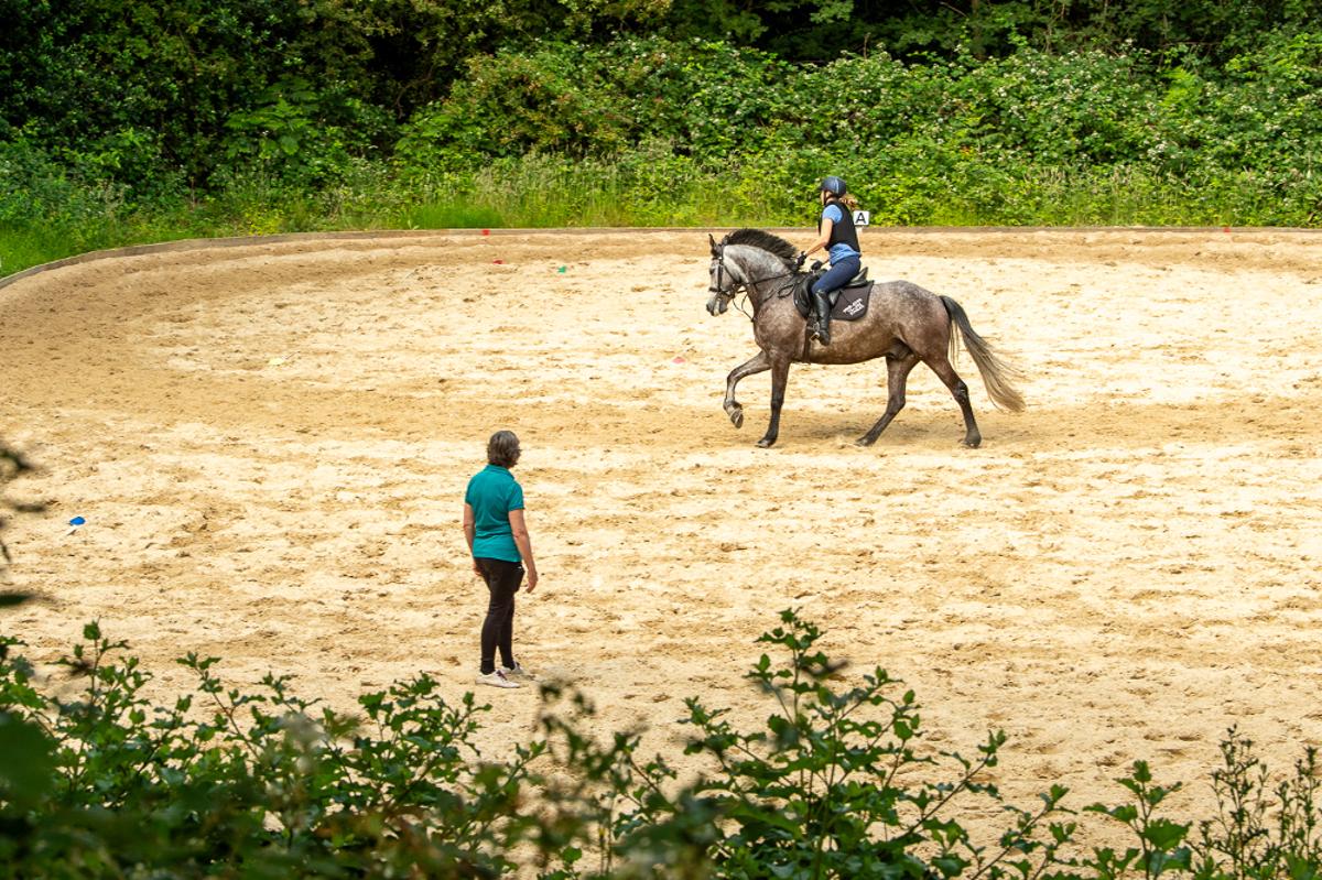 One hour private lesson.jpg horse riding london