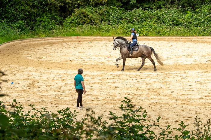 One hour private lesson.jpg horse riding london