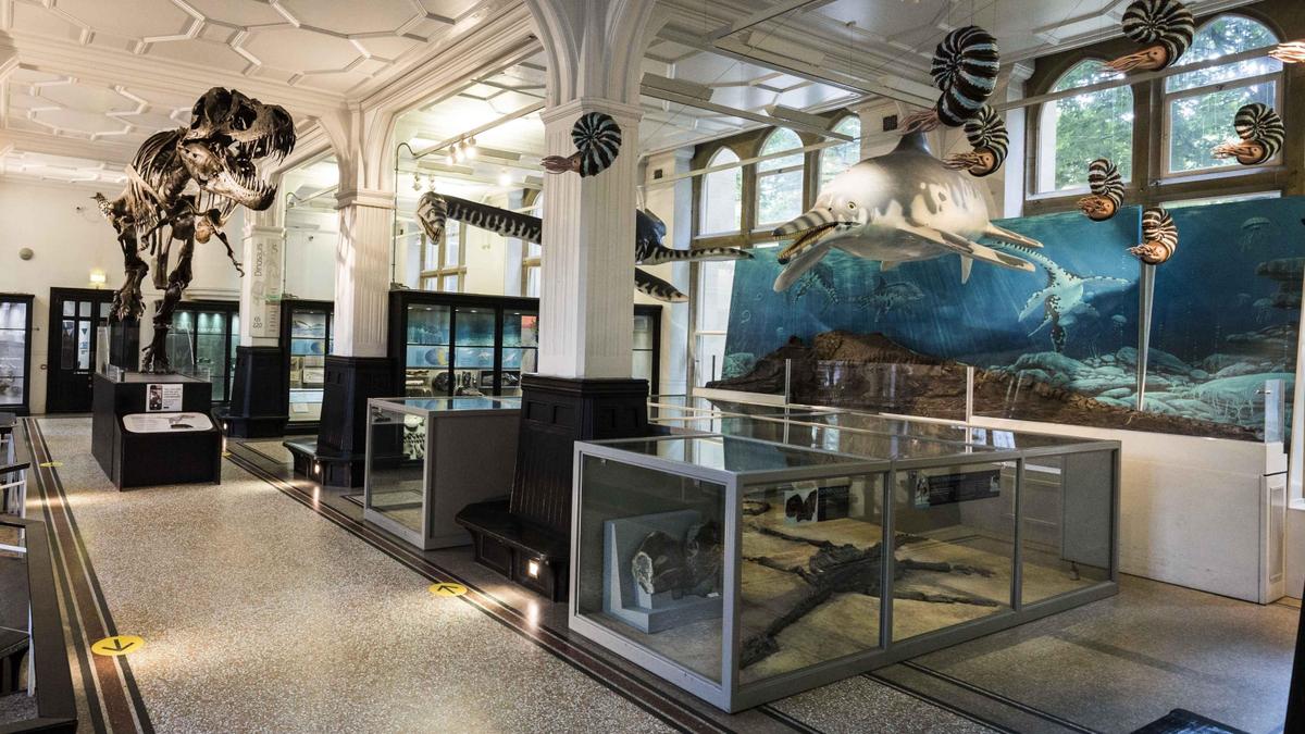 Things to Do with Kids in Manchester