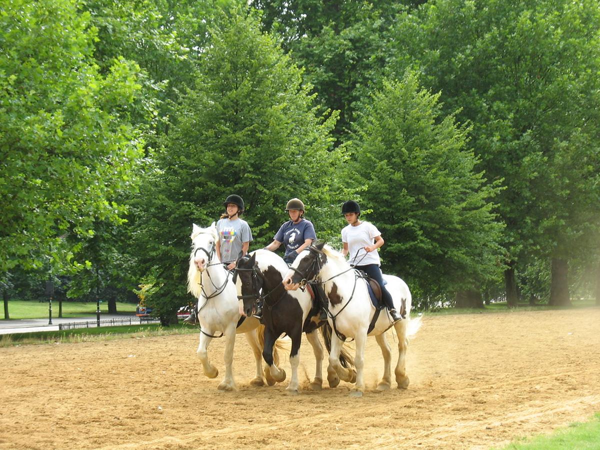 Hydeparkstables.jpg horse riding london