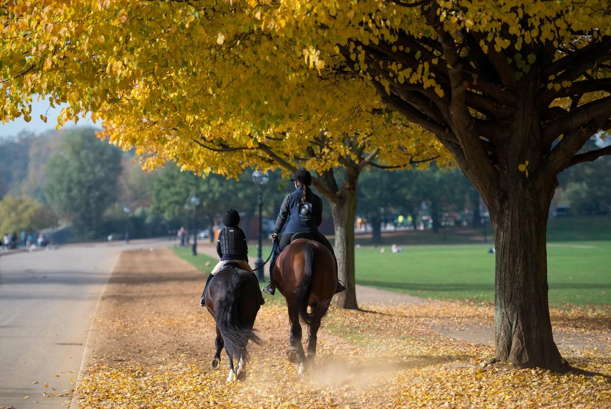 A Guide to Horse Riding in Hyde Park