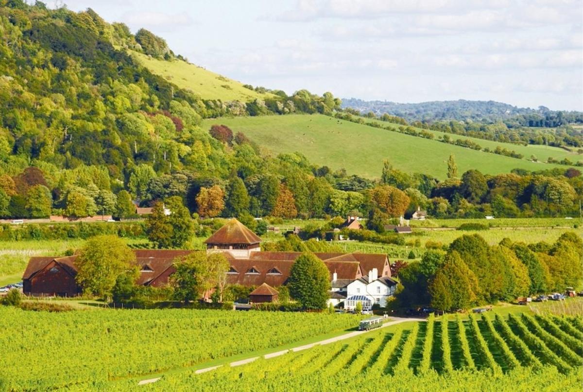 Things to Do in Surrey