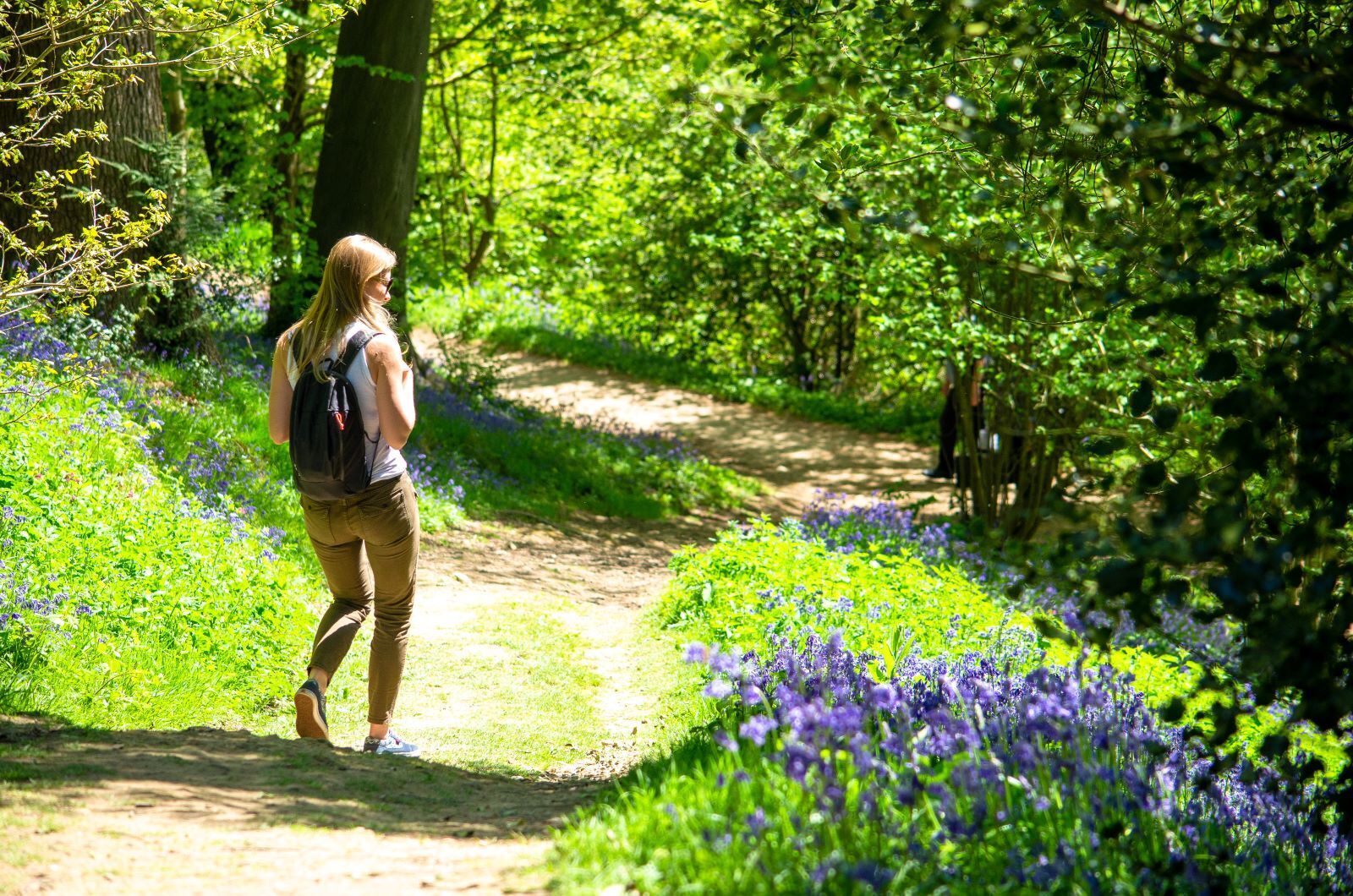 Best Walks in Kent - Exploring The Garden of England