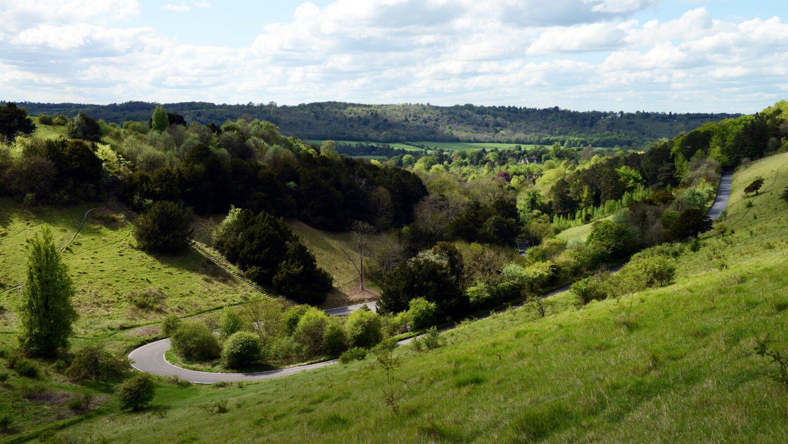 The Best Walks in Surrey