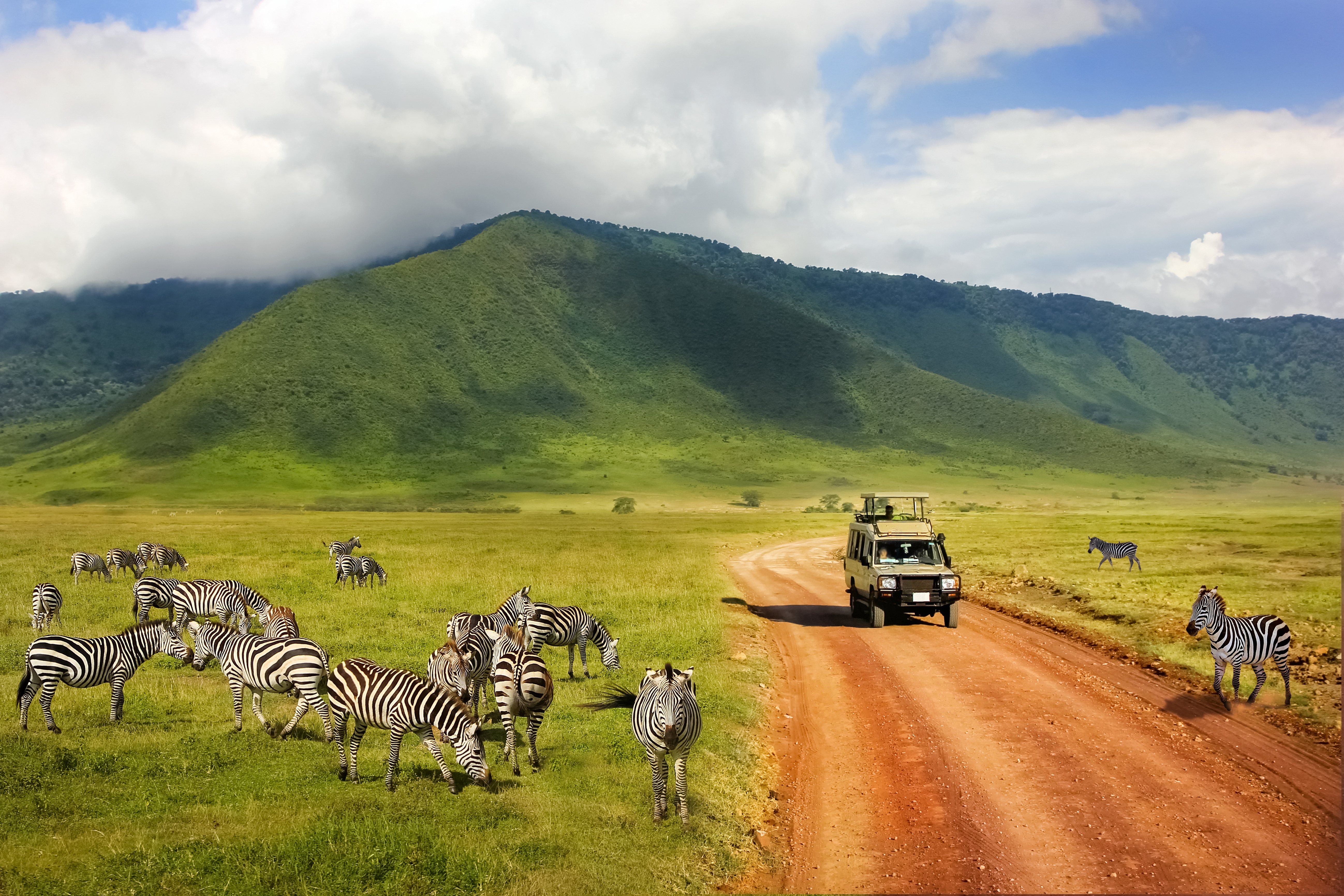 Best Safari in the World