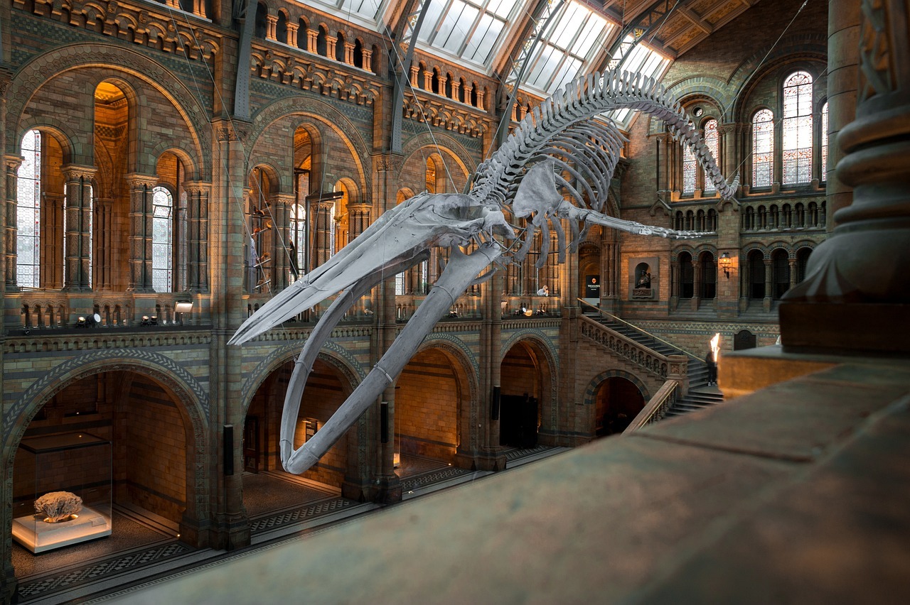The Icon: Natural History Museum London