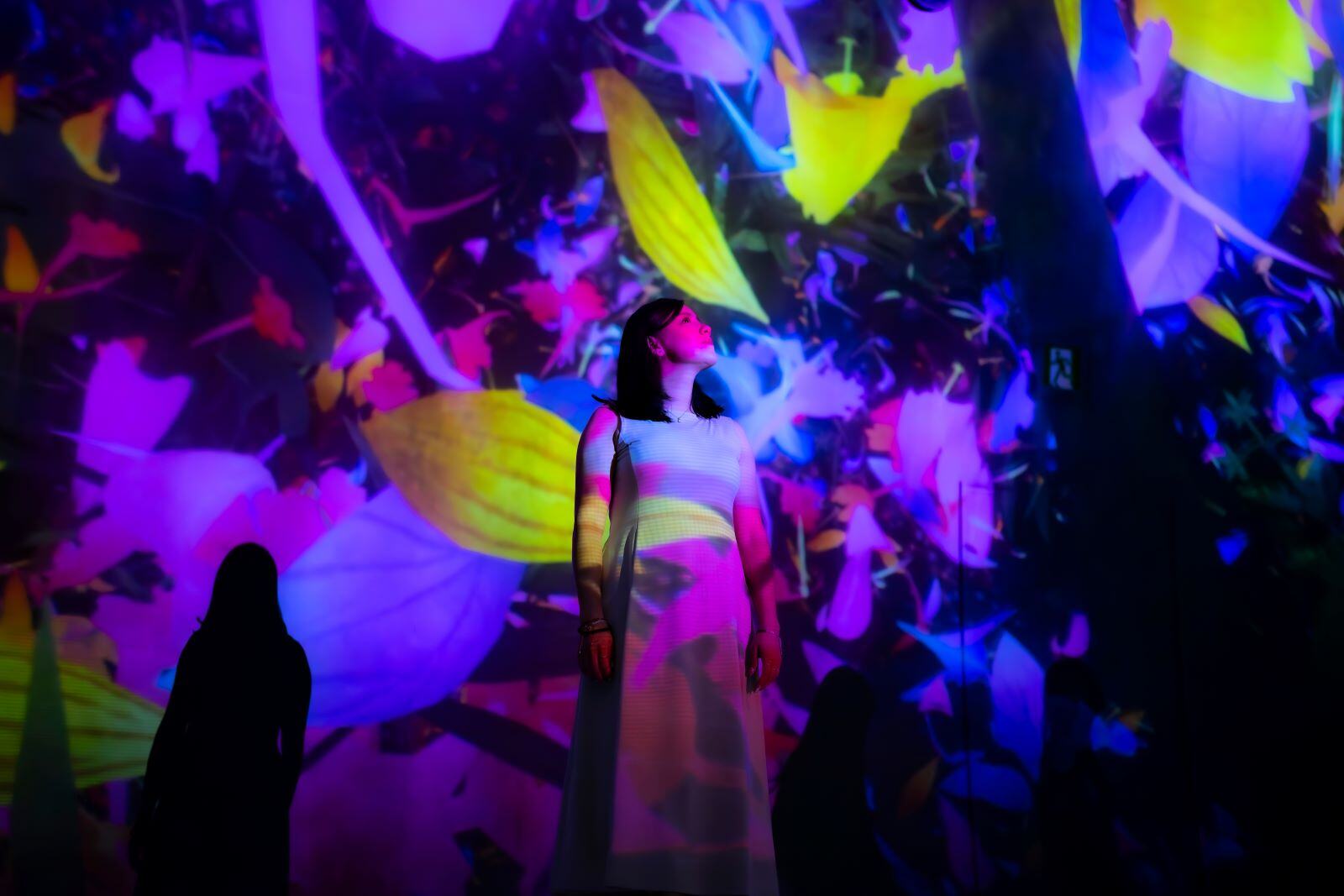 Transforming Creativity – Immersive Art in London