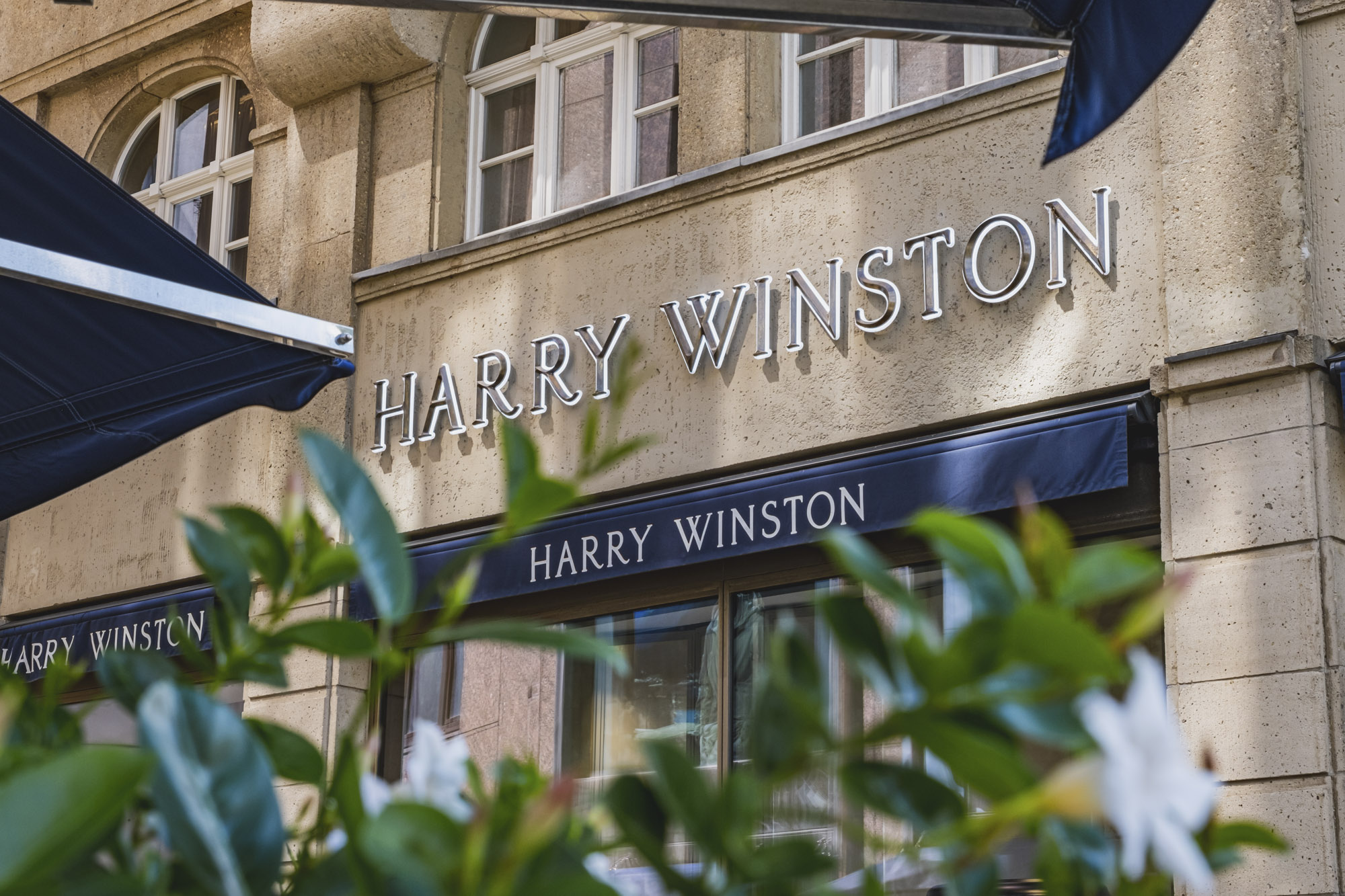 Harry Winston: The Art of Rarity