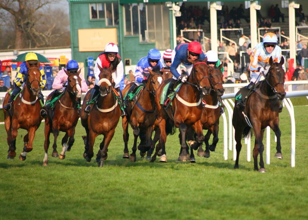 A Day at the Races in Surrey
